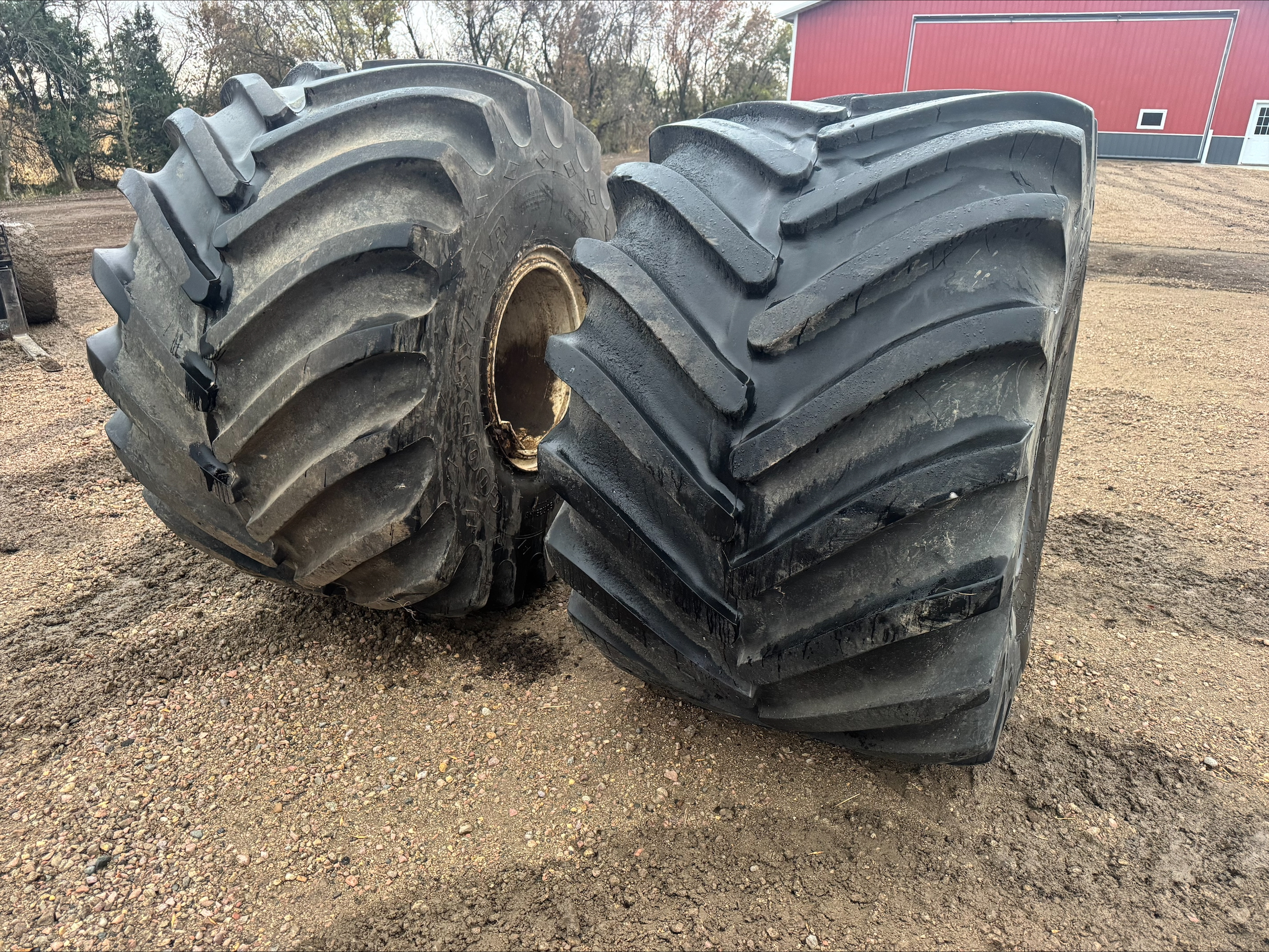 Image: Goodyear XT 1000/50R25